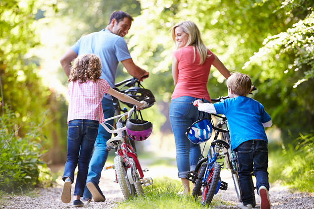 Bicycle Hire