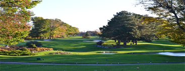 Playing Golf in Auckland